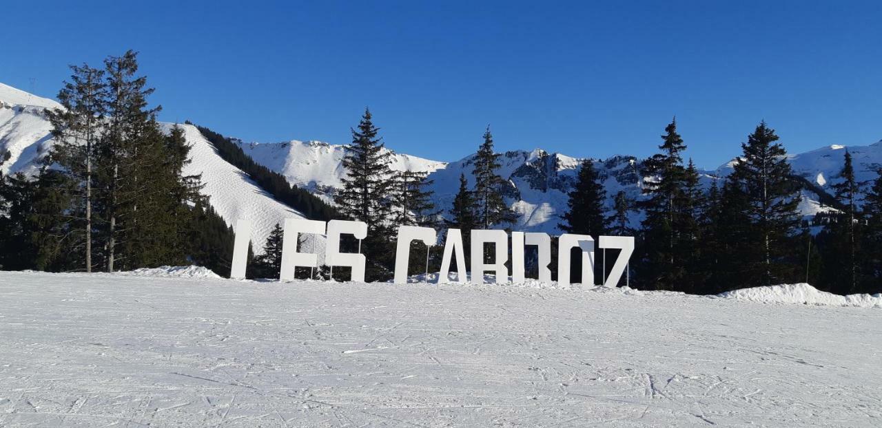 Grand Studio Les Carroz d'Arâches Exterior foto